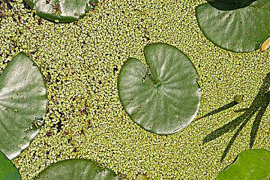 《漫威蜘蛛侠：复刻版》PC版媒体评分解禁 Metacritic均分88